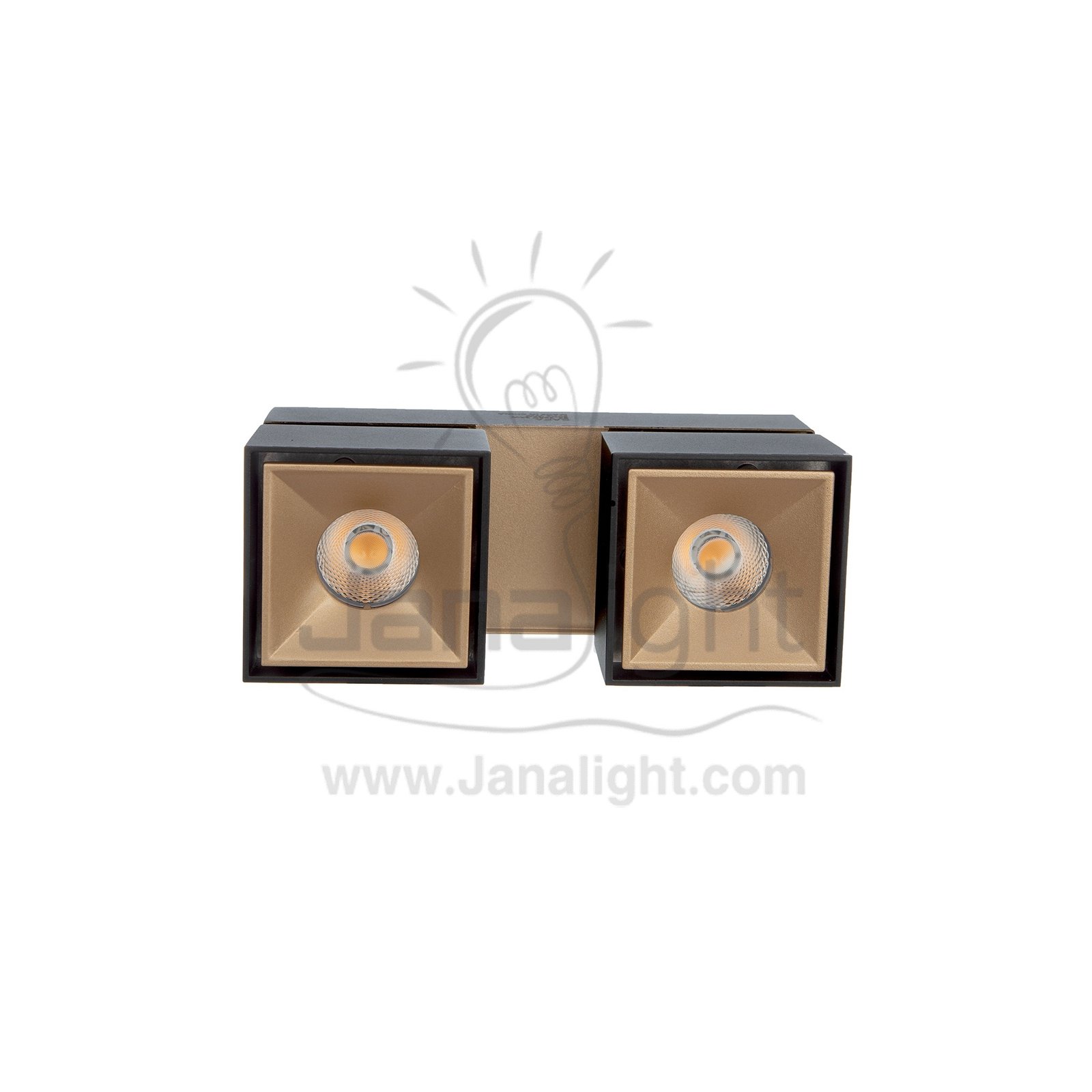 سبوت لايت سلندر 24 وات مجوز اسود وش شمباني وورم مربع متحرك AC85 2S cylinder downlight Square Double black- Champagne worm 24w